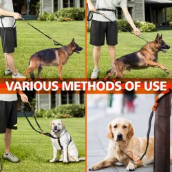 Utility Hands-Free Dog Walking Belt