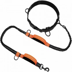 F-color Hands Free Dog Leash