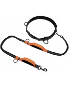 Dog Leash